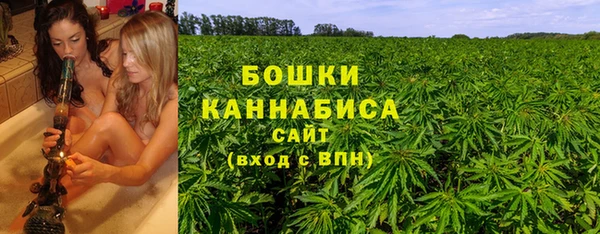 spice Снежинск