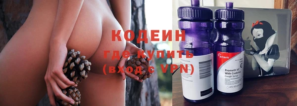 spice Снежинск