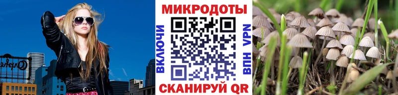 где можно купить наркотик  Чапаевск  Псилоцибиновые грибы мицелий 